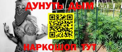 гидропоника Кулебаки