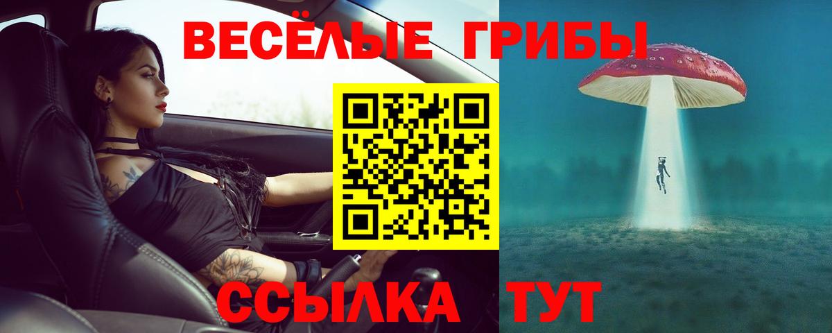 Галлюциногенные грибы Magic Shrooms  Вход с VPN  Елец 